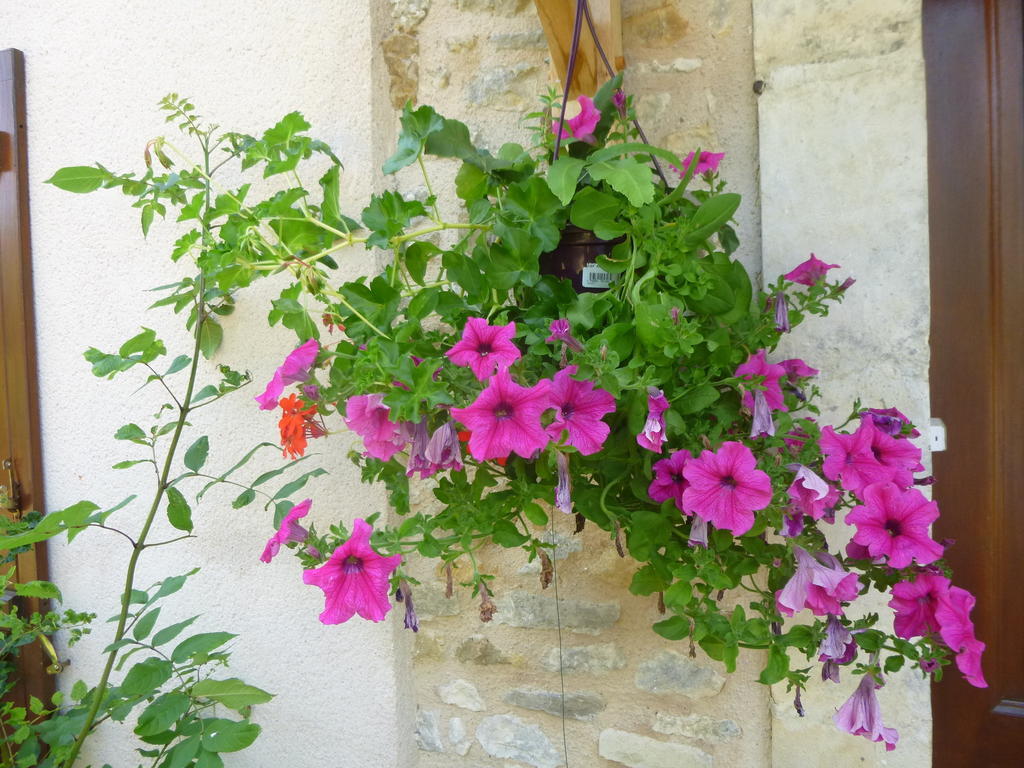 La Roulotte De Pommette Et Billy Bed & Breakfast La Hoguette ภายนอก รูปภาพ